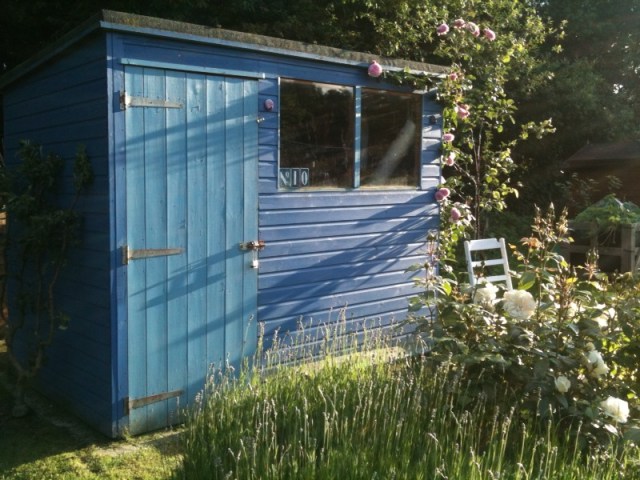 June evening shed 2012