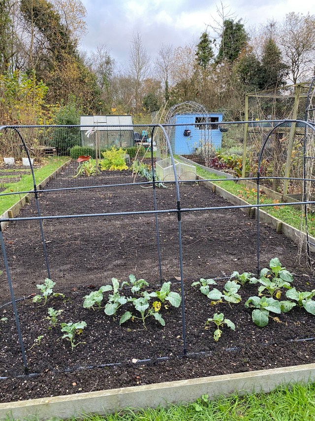 2WTi2UH1QZuPpsnEW14K9Q