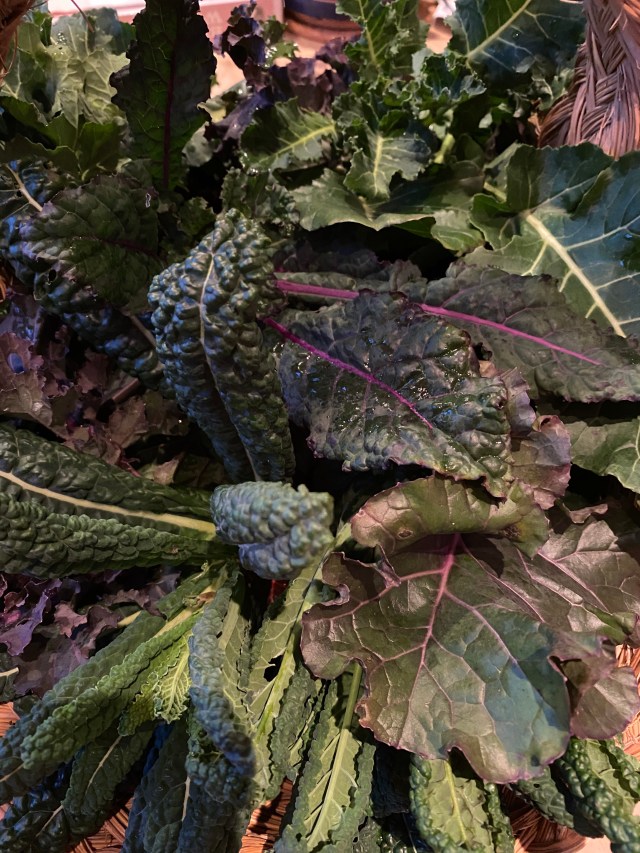 7RXNGf8QTsa02+NnakbAVw