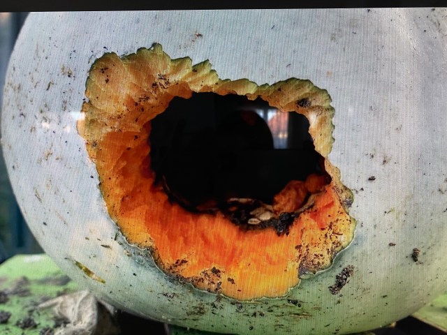 ATQ8GmkjTPKEF74Q1vpD4g