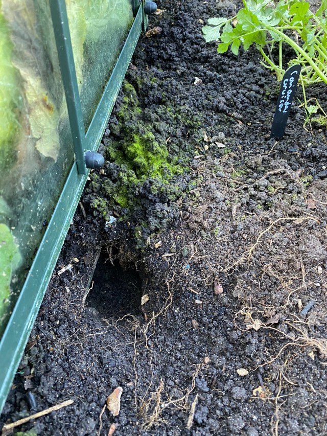 IGZTTxQZTwCbbWDEc+y9rA