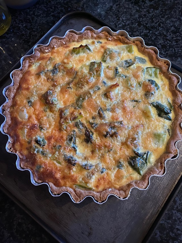 WqtWFoZSTNKBZQZ0Bqvqgg