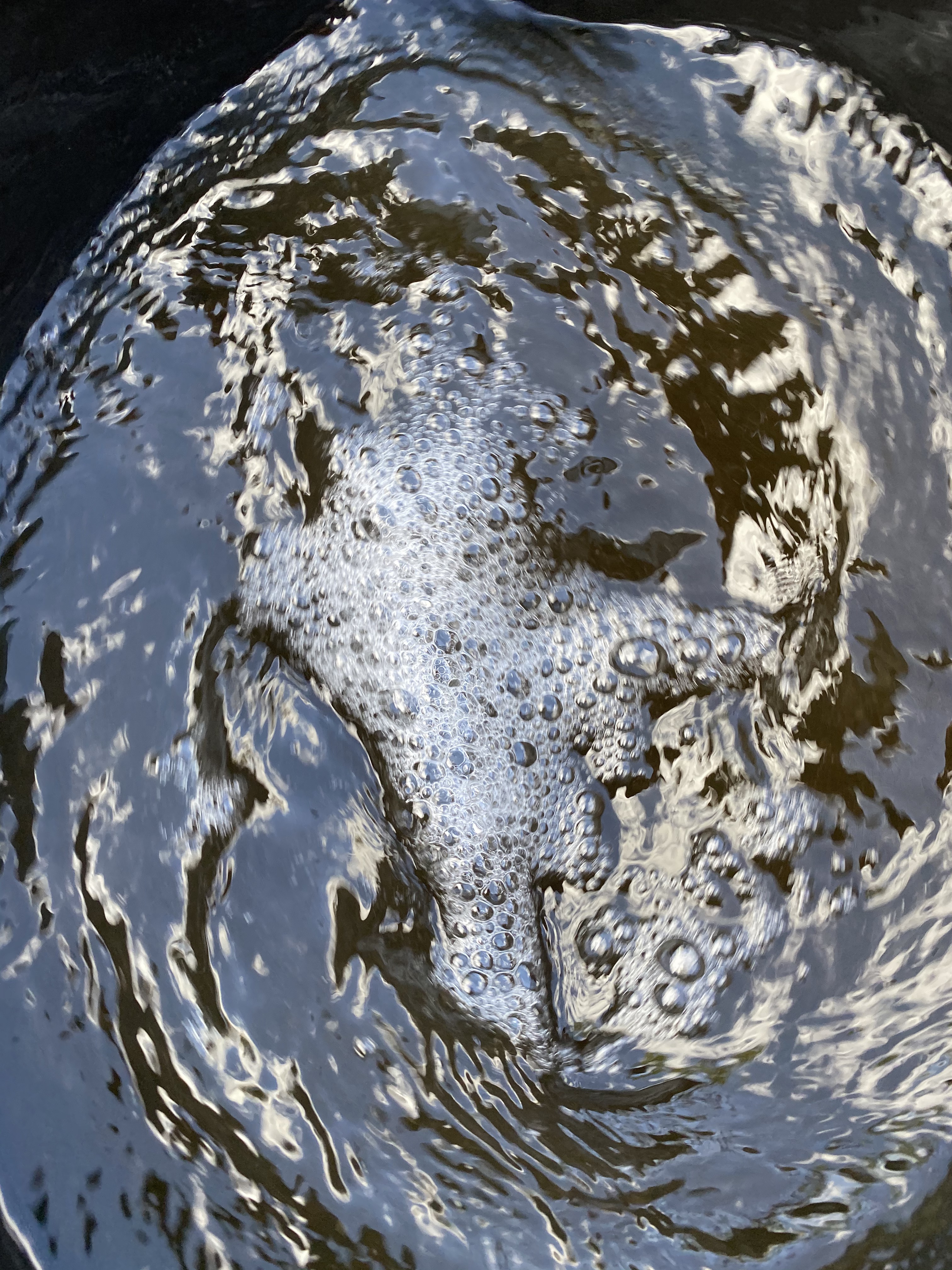 xF47Rd+yQQ+K9y15MQpofQ