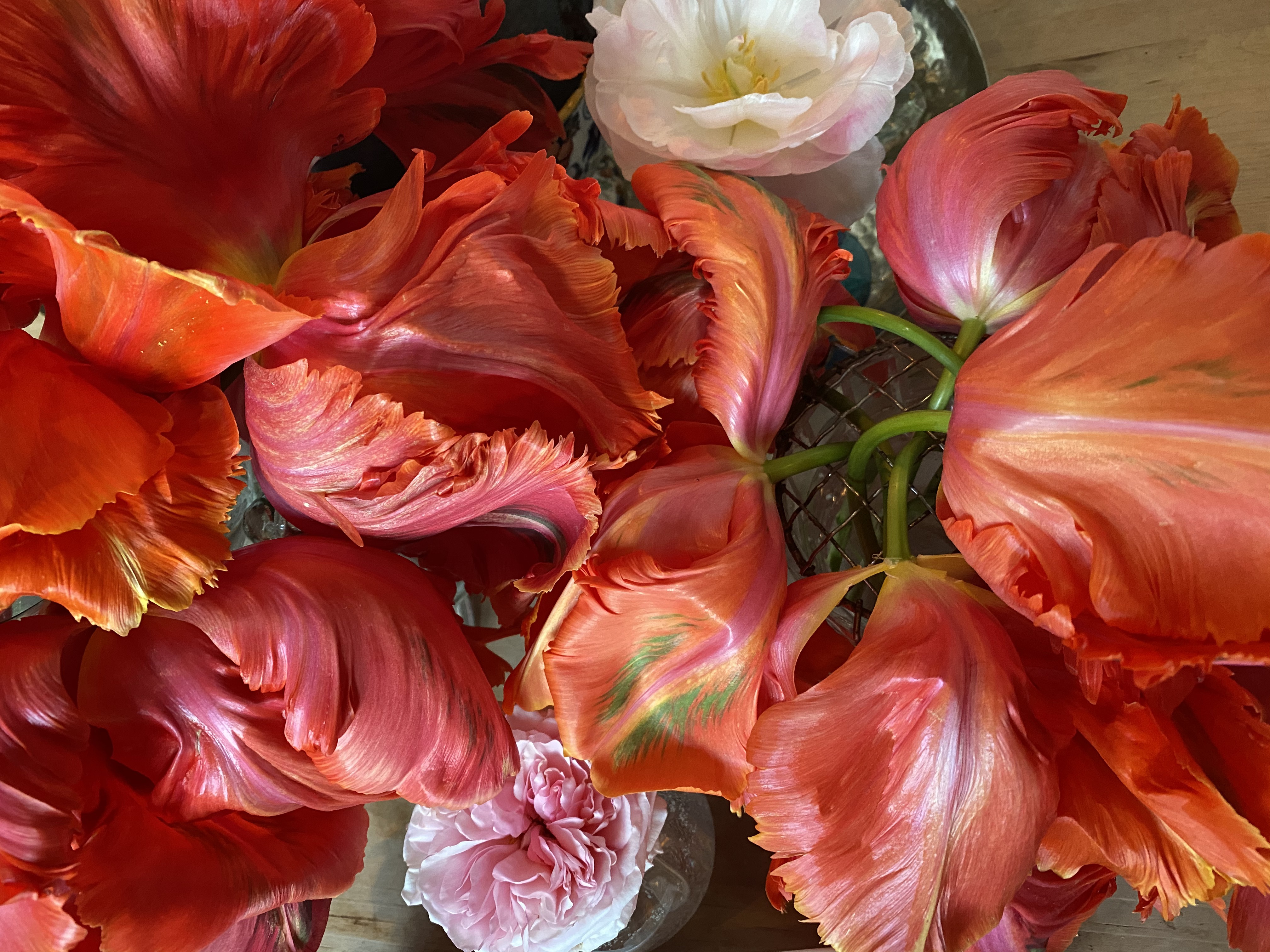 8ANqB4+UQGaH5xLjwqlggw