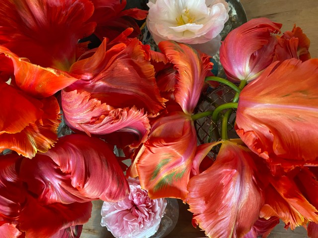 8ANqB4+UQGaH5xLjwqlggw