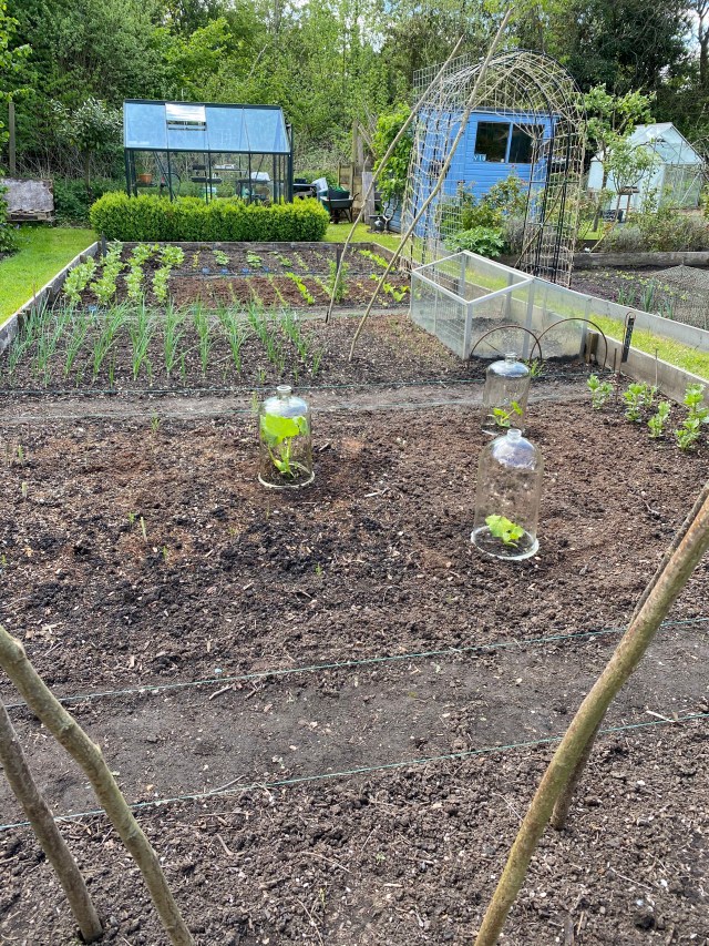 bdXW27jMQT6XX%qkuJsCKQ